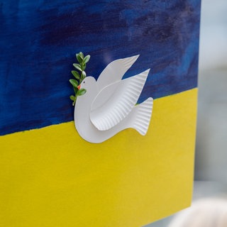 Friedenstaube auf Ukraine Flagge, anlässlich dem Krieg in der Ukraine.