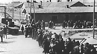 Häftlinge im Lager Auschwitz.