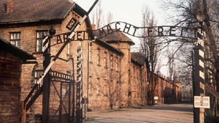 Das Lagertor von Auschwitz mit der Aufschrift "Arbeit macht frei".