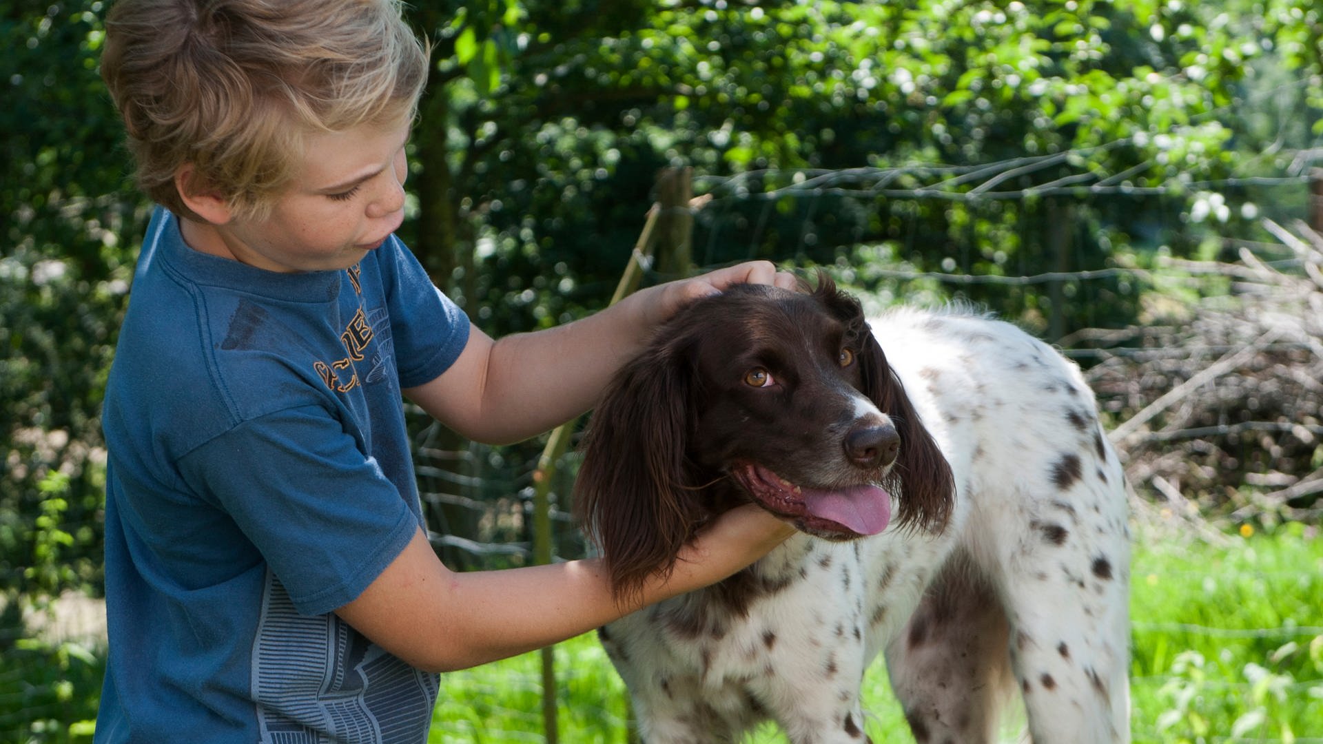 Voodoo Huhner Teil 2 Folge 78 Tiere Bis Unters Dach