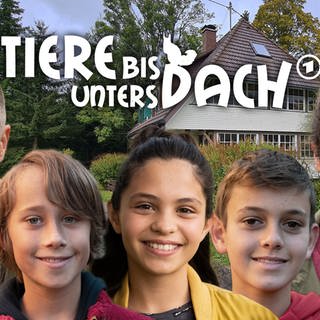 Tiere bis unters Dach: Staffel 9