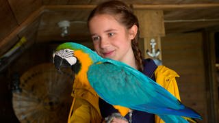Tiere bis unters Dach: Lucy mit Papagei Bingo