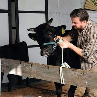Bauer mit einer Kuh