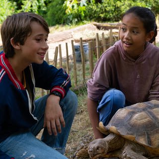 Ein Junge und ein Mädchen mit einer große Schildkröte im Garten