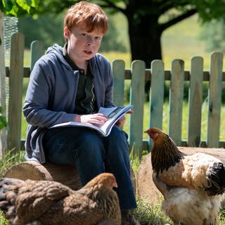 Ein Junge liest in einem Magazin umgeben von Hühnern