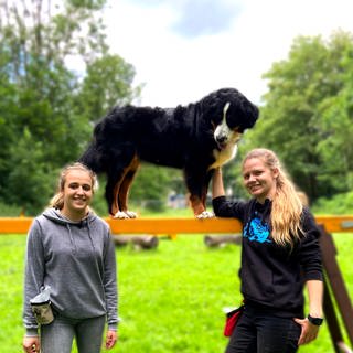 Sara und Sophia machen mit Hund Rosi das Hobby Mobility.