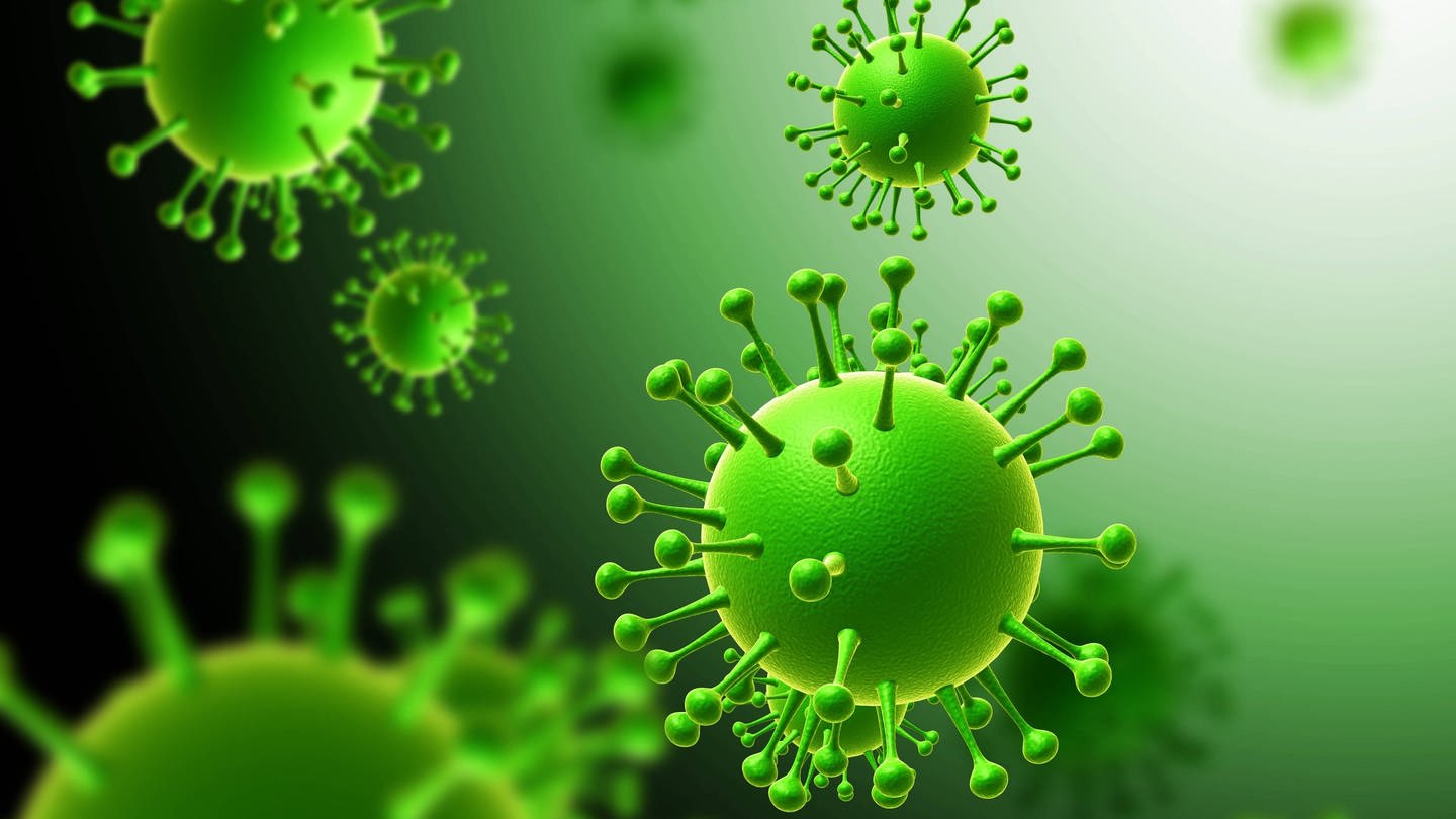 Corona Grippe Und Erkaltung So Sehen Die Viren Und Bakterien Aus Wissen Swr Kindernetz