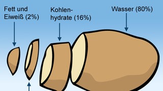 Kartoffelgrafik