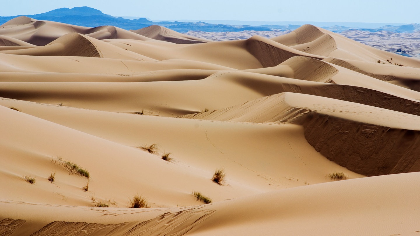 Wüsten - Die Sahara - Wissen - SWR Kindernetz