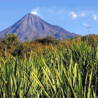 Der Vulkankegel des "Volcan de Fuego"