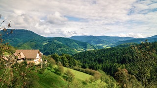 Die EU: Deutschland - Wissen - SWR Kindernetz