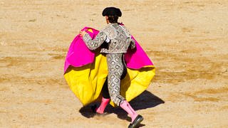 Torero in der Stierkampfarena