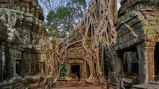 Ta Prohm - Tempel