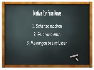 Motive für Fake News