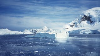 Treibende Eisscholle und Eisberge in der Paradiesbucht in der Antarktis