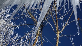 Eiszapfen hängen vom Dach eines Schuppens.